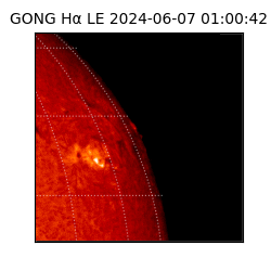 gong - 2024-06-07T01:00:42