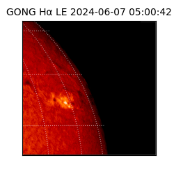 gong - 2024-06-07T05:00:42