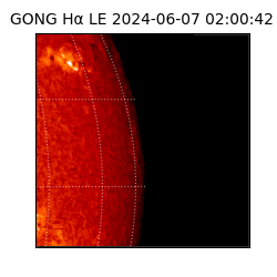 gong - 2024-06-07T02:00:42