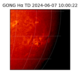 gong - 2024-06-07T10:00:22