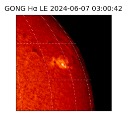 gong - 2024-06-07T03:00:42