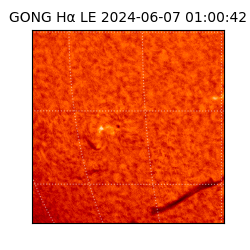 gong - 2024-06-07T01:00:42