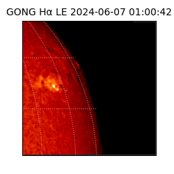 gong - 2024-06-07T01:00:42