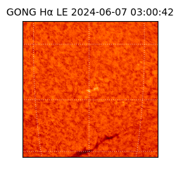gong - 2024-06-07T03:00:42
