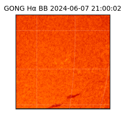 gong - 2024-06-07T21:00:02