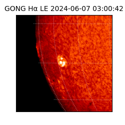 gong - 2024-06-07T03:00:42