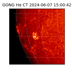 gong - 2024-06-07T15:00:42