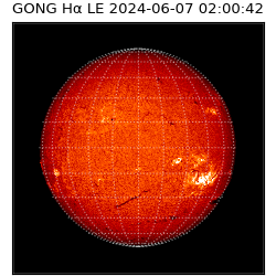 gong - 2024-06-07T02:00:42
