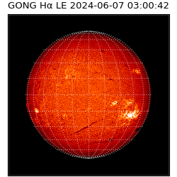gong - 2024-06-07T03:00:42