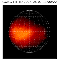 gong - 2024-06-07T11:00:22