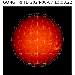 gong - 2024-06-07T13:00:22