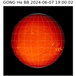 gong - 2024-06-07T19:00:02