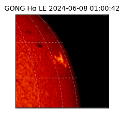 gong - 2024-06-08T01:00:42