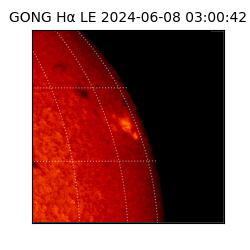 gong - 2024-06-08T03:00:42