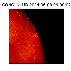 gong - 2024-06-08T09:00:02