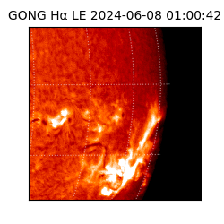 gong - 2024-06-08T01:00:42