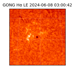 gong - 2024-06-08T03:00:42