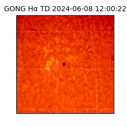 gong - 2024-06-08T12:00:22