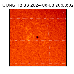 gong - 2024-06-08T20:00:02