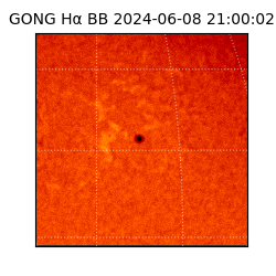 gong - 2024-06-08T21:00:02