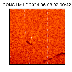 gong - 2024-06-08T02:00:42