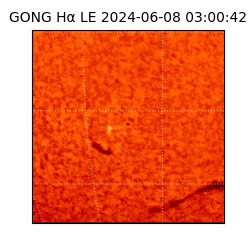 gong - 2024-06-08T03:00:42