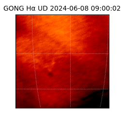 gong - 2024-06-08T09:00:02