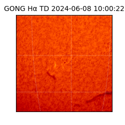 gong - 2024-06-08T10:00:22