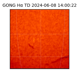 gong - 2024-06-08T14:00:22