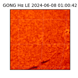 gong - 2024-06-08T01:00:42