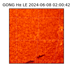 gong - 2024-06-08T02:00:42