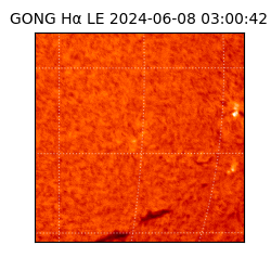 gong - 2024-06-08T03:00:42