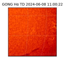 gong - 2024-06-08T11:00:22