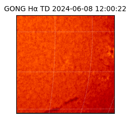 gong - 2024-06-08T12:00:22