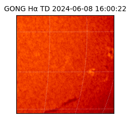 gong - 2024-06-08T16:00:22