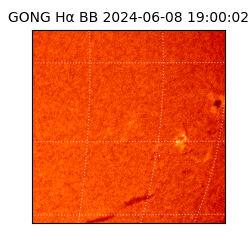 gong - 2024-06-08T19:00:02