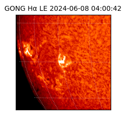 gong - 2024-06-08T04:00:42