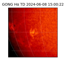 gong - 2024-06-08T15:00:22