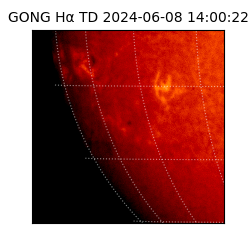 gong - 2024-06-08T14:00:22