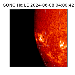 gong - 2024-06-08T04:00:42