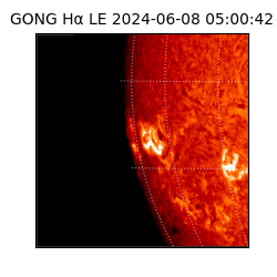 gong - 2024-06-08T05:00:42