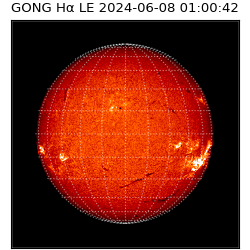 gong - 2024-06-08T01:00:42