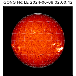 gong - 2024-06-08T02:00:42