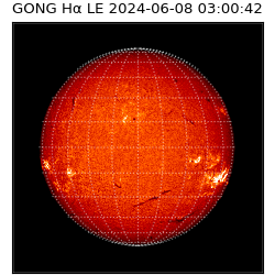 gong - 2024-06-08T03:00:42