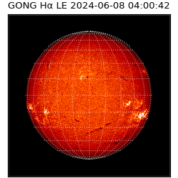gong - 2024-06-08T04:00:42