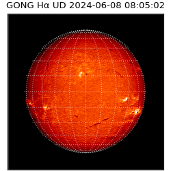 gong - 2024-06-08T08:05:02
