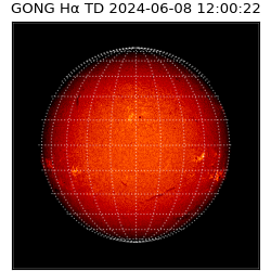 gong - 2024-06-08T12:00:22