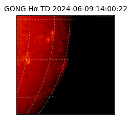 gong - 2024-06-09T14:00:22