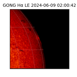 gong - 2024-06-09T02:00:42