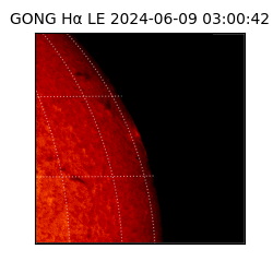 gong - 2024-06-09T03:00:42